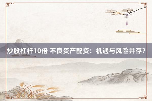 炒股杠杆10倍 不良资产配资：机遇与风险并存？