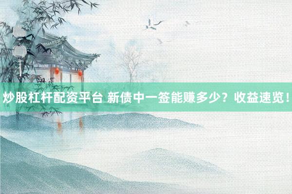 炒股杠杆配资平台 新债中一签能赚多少？收益速览！