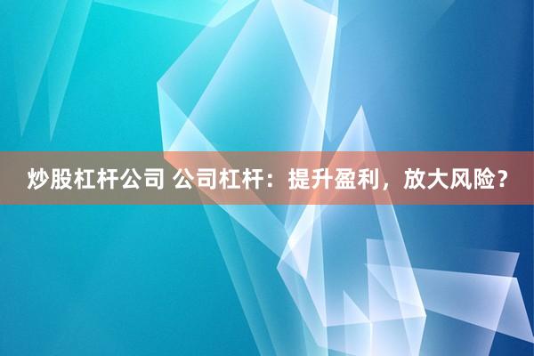 炒股杠杆公司 公司杠杆：提升盈利，放大风险？