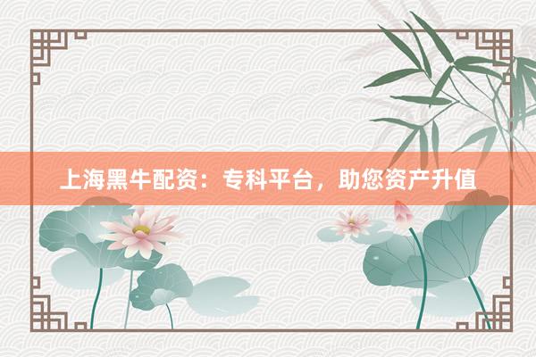上海黑牛配资：专科平台，助您资产升值