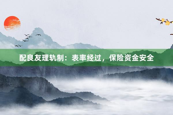 配良友理轨制：表率经过，保险资金安全