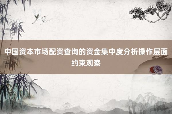 中国资本市场配资查询的资金集中度分析操作层面约束观察