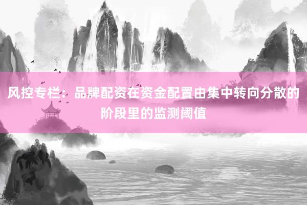 风控专栏：品牌配资在资金配置由集中转向分散的阶段里的监测阈值