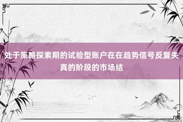处于策略探索期的试验型账户在在趋势信号反复失真的阶段的市场结