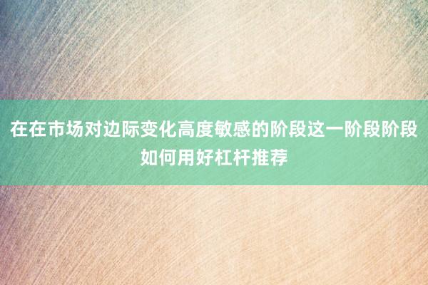 在在市场对边际变化高度敏感的阶段这一阶段阶段如何用好杠杆推荐