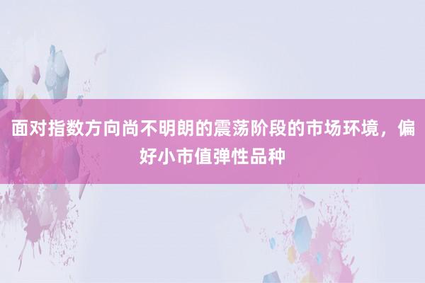 面对指数方向尚不明朗的震荡阶段的市场环境，偏好小市值弹性品种