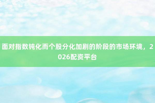 面对指数钝化而个股分化加剧的阶段的市场环境，2026配资平台