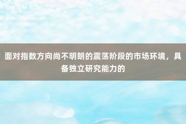 面对指数方向尚不明朗的震荡阶段的市场环境，具备独立研究能力的