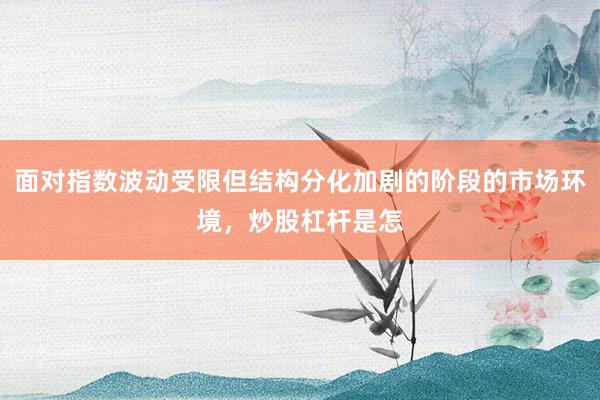 面对指数波动受限但结构分化加剧的阶段的市场环境，炒股杠杆是怎