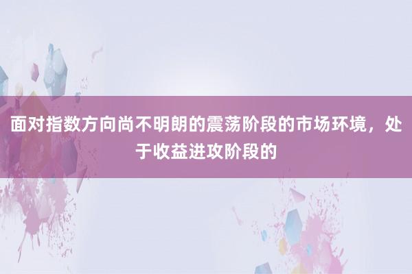 面对指数方向尚不明朗的震荡阶段的市场环境，处于收益进攻阶段的