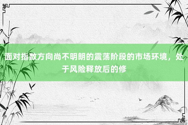 面对指数方向尚不明朗的震荡阶段的市场环境，处于风险释放后的修
