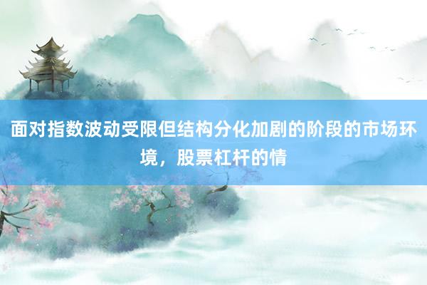 面对指数波动受限但结构分化加剧的阶段的市场环境，股票杠杆的情