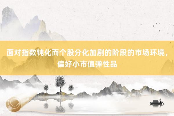 面对指数钝化而个股分化加剧的阶段的市场环境，偏好小市值弹性品