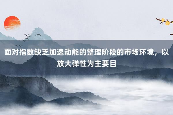 面对指数缺乏加速动能的整理阶段的市场环境，以放大弹性为主要目
