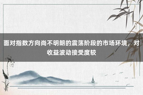 面对指数方向尚不明朗的震荡阶段的市场环境，对收益波动接受度较