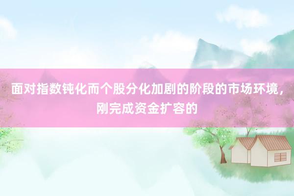 面对指数钝化而个股分化加剧的阶段的市场环境，刚完成资金扩容的