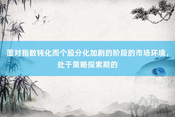 面对指数钝化而个股分化加剧的阶段的市场环境，处于策略探索期的