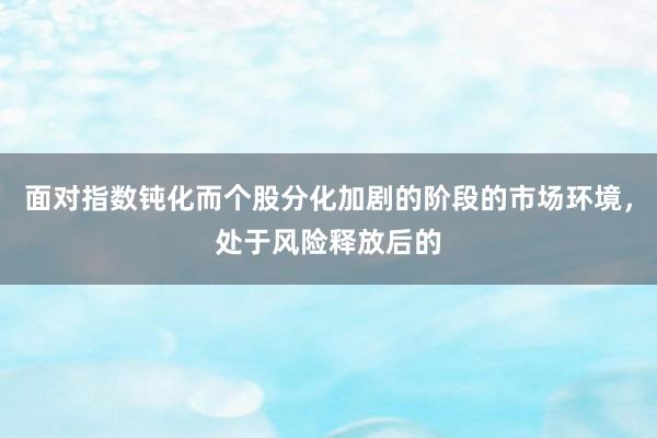 面对指数钝化而个股分化加剧的阶段的市场环境，处于风险释放后的