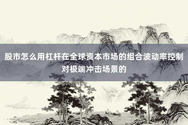 股市怎么用杠杆在全球资本市场的组合波动率控制对极端冲击场景的