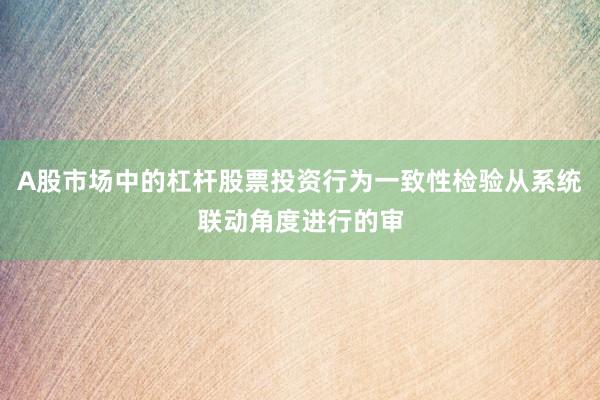 A股市场中的杠杆股票投资行为一致性检验从系统联动角度进行的审